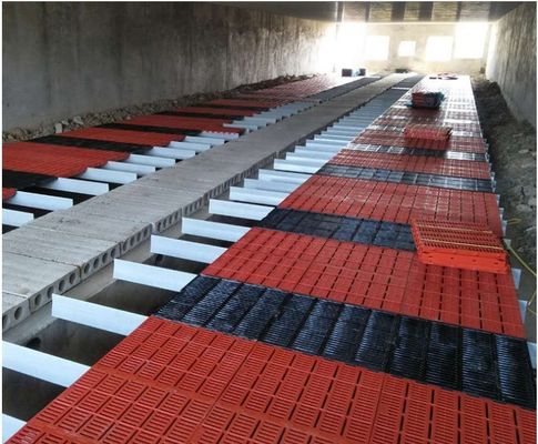 Techniek Pultrusie 120 mm glasvezel steunbalk voor pluimvee varkens schapen vloer