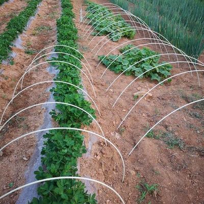 Aanpasbare anti-aging GFRP-plantpalen voor het snijden van tuin-/boomondersteuningsmateriaal indien nodig