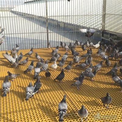 Open oppervlakte 40% 80% FRP-rasten voor vee voor pluimvee/vogels/duifvloeroplossing