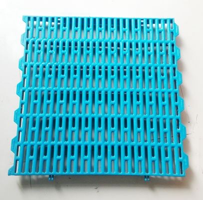 65x15 mm Mesh Size Pig Plastic Slatted Floor voor de verbouwing van kratten/varkenspen