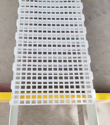 1200x500x50mm Vogelhuis Kippenboerderij Plastic Gelaagd Vloer Industrieel Ontwerp