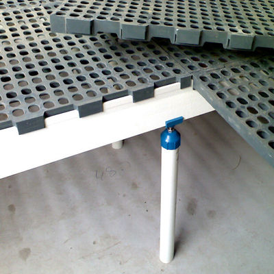 1200x500x50mm Vogelhuis Kippenboerderij Plastic Gelaagd Vloer Industrieel Ontwerp