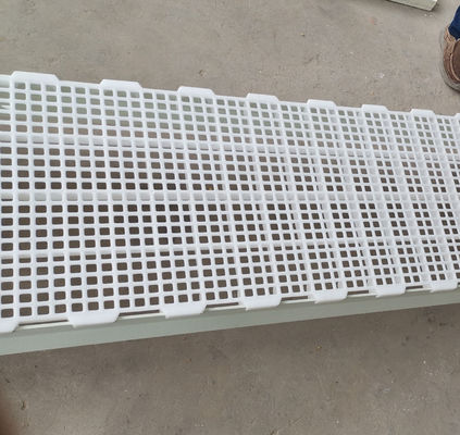 1200x500x50mm Vogelhuis Kippenboerderij Plastic Gelaagd Vloer Industrieel Ontwerp