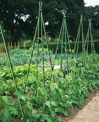 1m tot 11,6m lengte hoge sterkte glasvezel plantsteken voor tomatenbomen en bonen