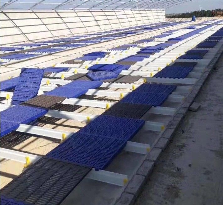 1m-11.6m Lange FRP-balk voor pluimvee/schapen/varkenshouderij